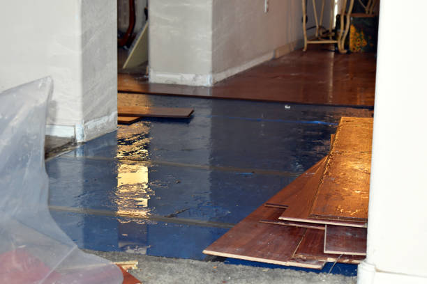 Professional Basement Flood Cleanup technician working in Woodburn, VA